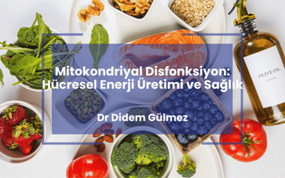 Mitokondriyal Disfonksiyon: Hücresel Enerji Üretimi ve Sağlık
