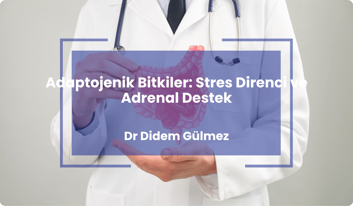 adaptojenik bitkiler stres direnci adrenal destek