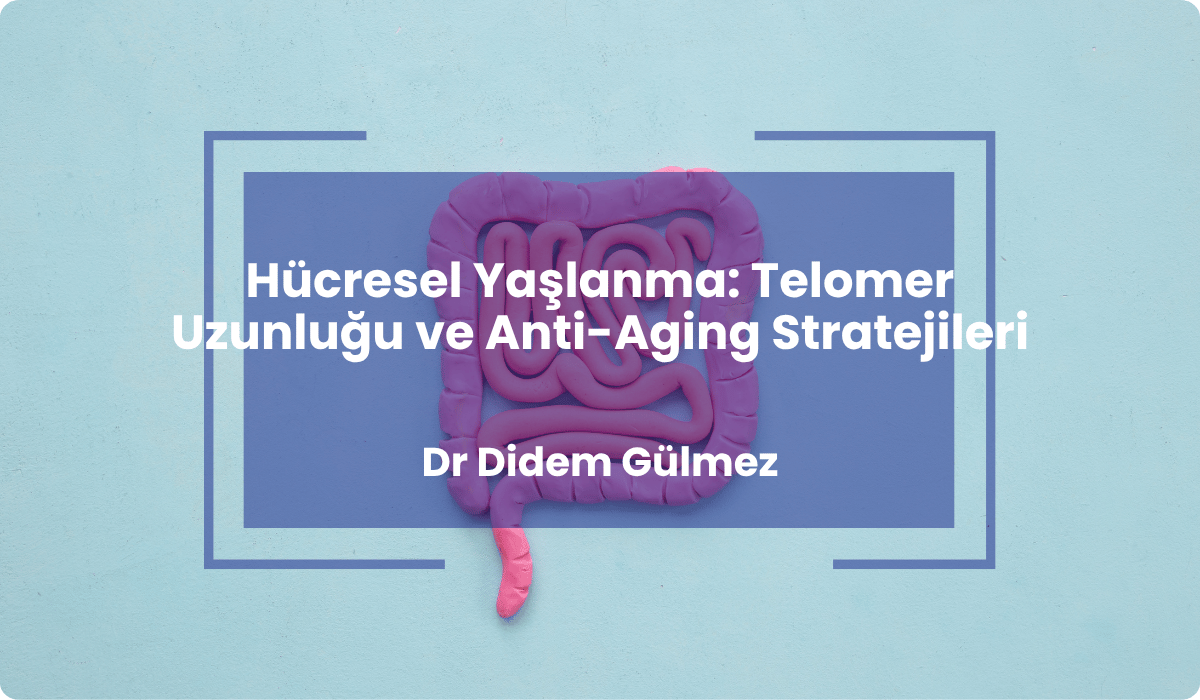 hucresel yaslanma telomer uzunlugu anti aging