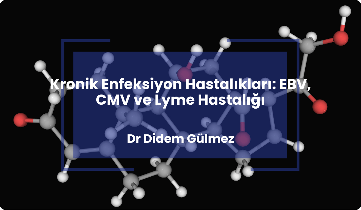 kronik enfeksiyon ebv cmv lyme hastaligi
