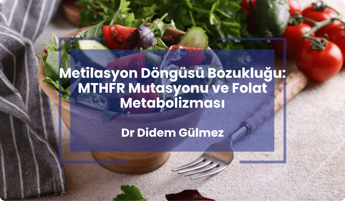 metilasyon dongusu mthfr mutasyonu folat metilasyon dongusu mthfr mutasyonu folat