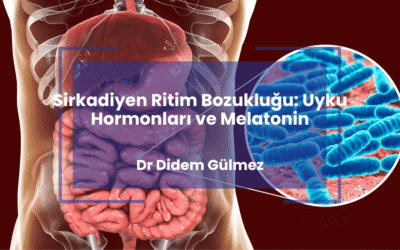 Sirkadiyen Ritim Bozukluğu: Uyku Hormonları ve Melatonin