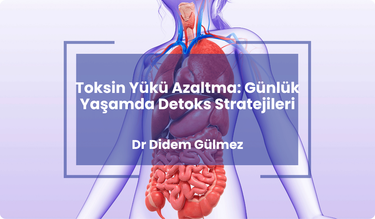 toksin yuku azaltma gunluk detoks stratejileri