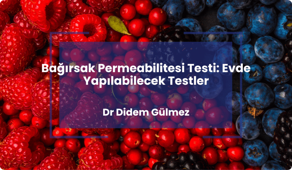 bagirsakta permeabilite testi evde yapilabilecek