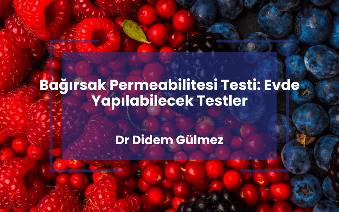 Bağırsak Permeabilitesi Testi: Evde Yapılabilecek Testler