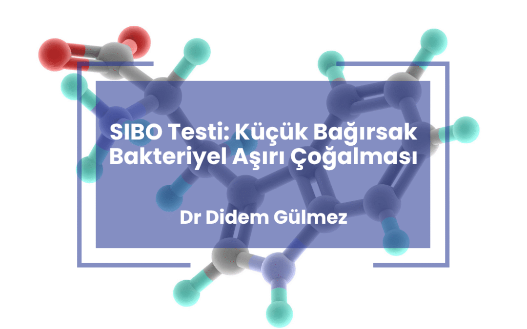SIBO Testi: Küçük Bağırsak Bakteriyel Aşırı Çoğalması