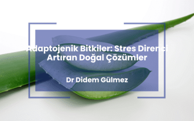 Adaptojenik Bitkiler: Stres Direnci Artıran Doğal Çözümler