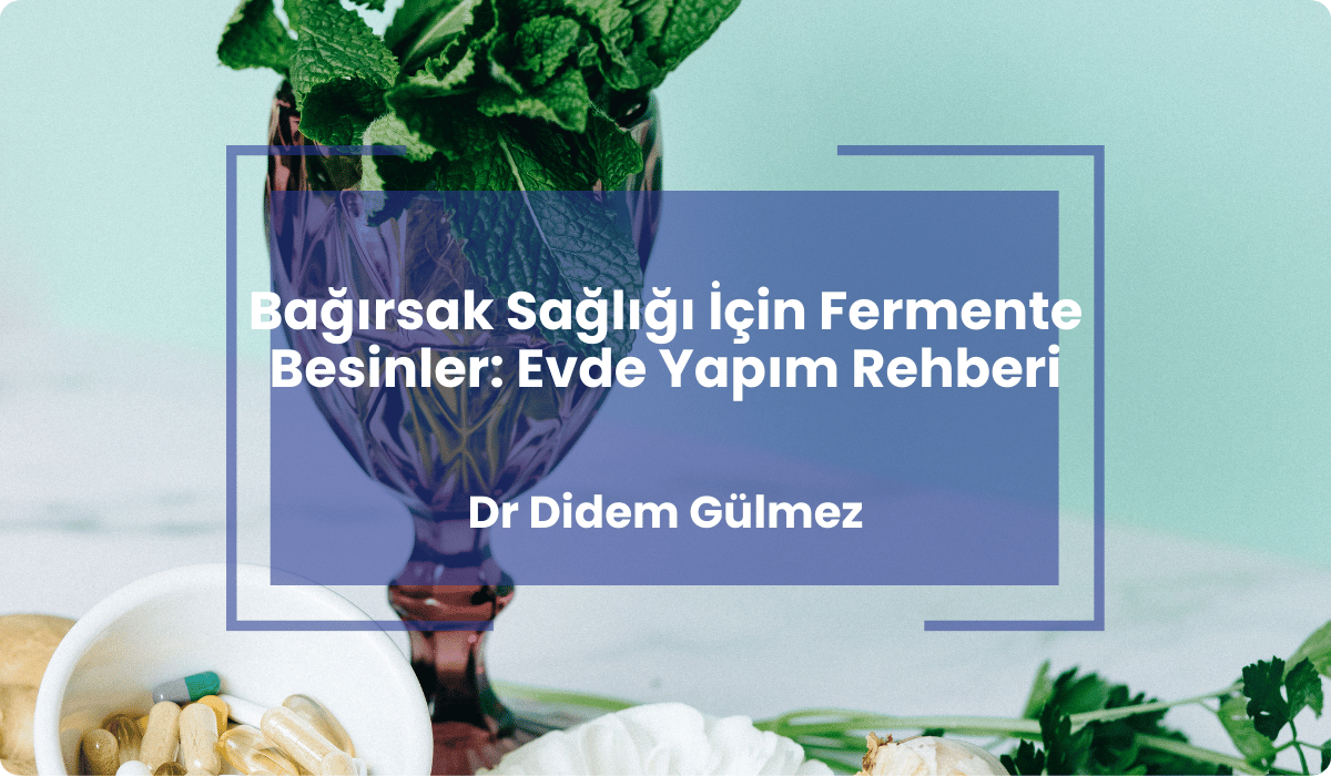 fermente besinler evde yapim rehberi