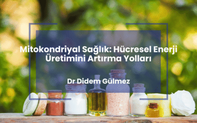 Mitokondriyal Sağlık: Hücresel Enerji Üretimini Artırma Yolları
