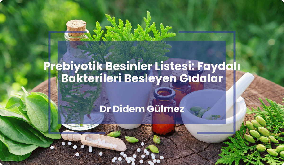 prebiyotik besinler listesi faydali bakteriler