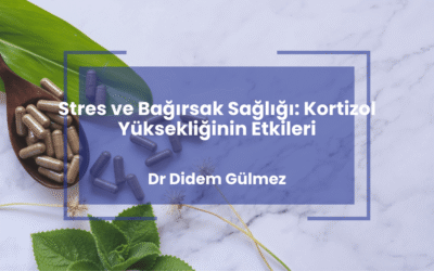 Stres ve Bağırsak Sağlığı: Kortizol Yüksekliğinin Etkileri