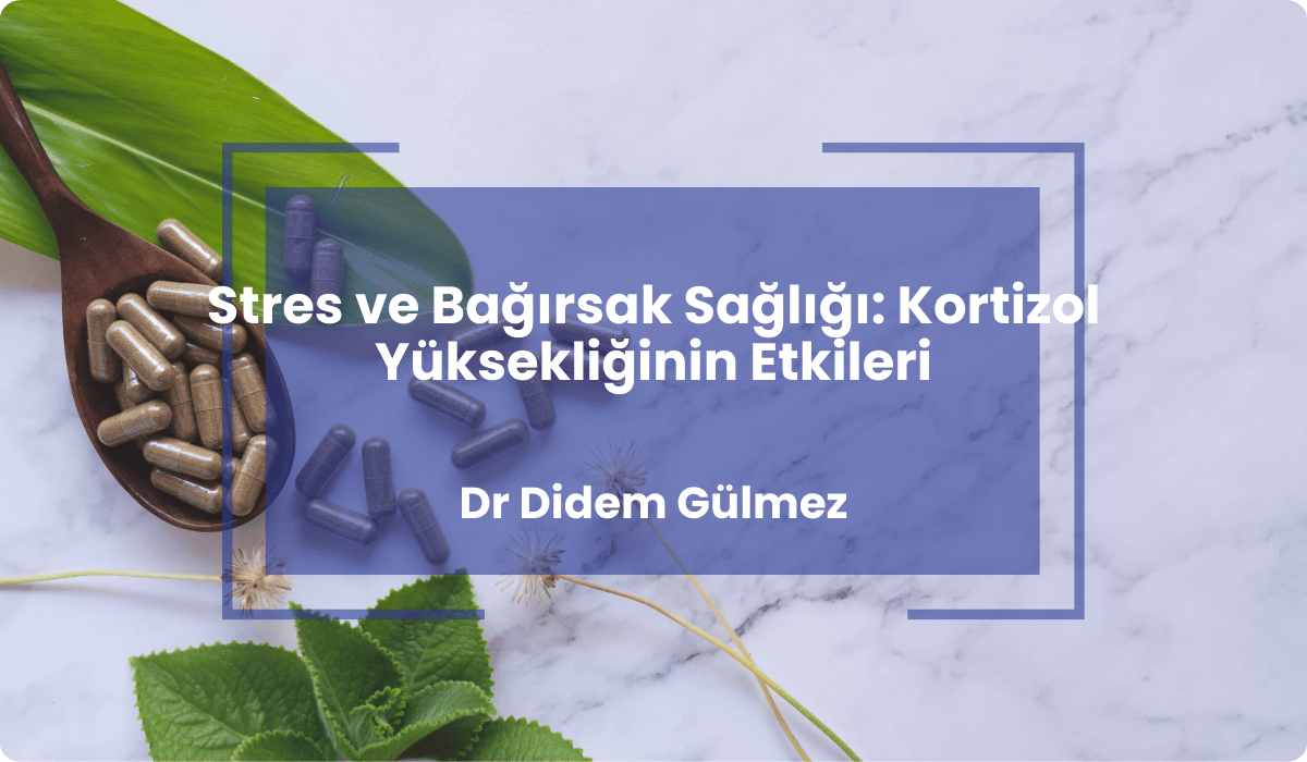 stres bagirsak sagligi kortizol etkileri