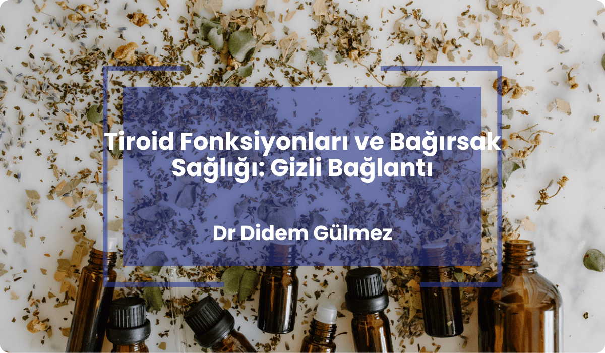 tiroid fonksiyonlari bagirsak sagligi baglanti tiroid fonksiyonlari bagirsak sagligi baglanti