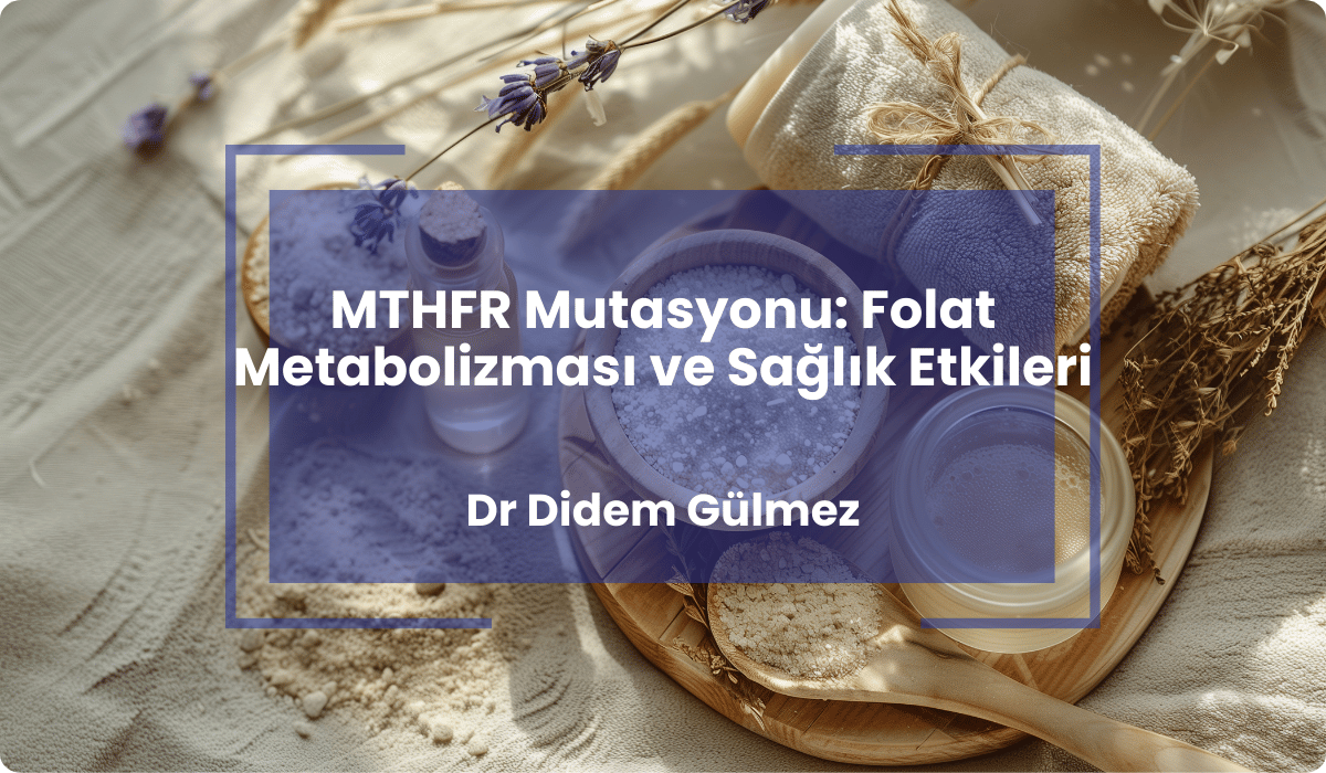 mthfr mutasyonu folat metabolizmasi saglik mthfr mutasyonu folat metabolizmasi saglik
